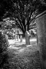 A black and white photograph of grave stones in a creepy cemetery. 