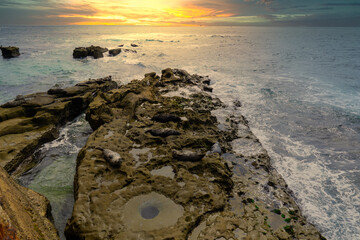 Sunset on a rocky shore with seals camouflaging with the rocks © Renata