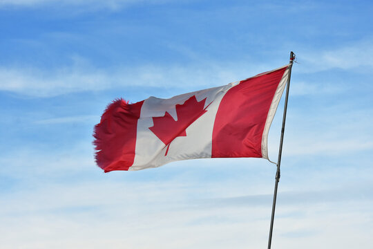 An image of an old tattered Canadian flag waving in the wind.  