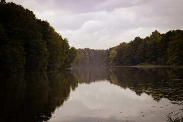 lake in the forest
