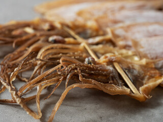 Close-up of dried squid on marble background
