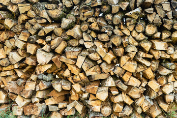 Stacked tree trunk firewood