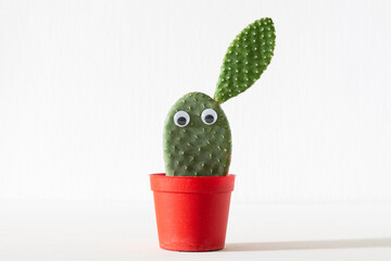 Cactus with eyes on a white background