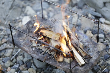 burning firewood in the forest