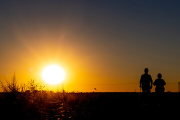 Fototapeta na wymiar Silhouette of two people walking in the field at sunset. Rural life. Sunset walks
