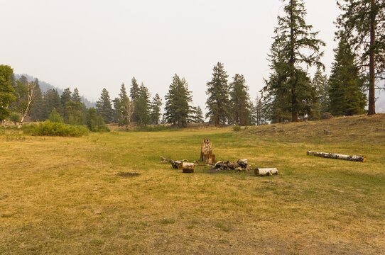 Campfire in a meadow