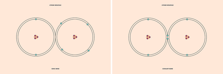 Naklejka premium Conceptual vector representation of a lithium molecule, made up of two atoms, and the types of chemical bonds: covalent, atoms sharing electrons, and ionic, an atom gives an electron to another atom. 