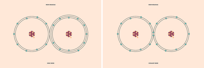 Conceptual vector representation of a neon molecule, made up of two atoms, and the types of chemical bonds: covalent, atoms sharing electrons, and ionic, an atom gives an electron to another atom. 
