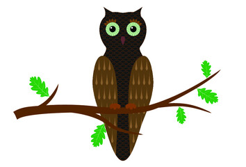 Cartoon owl