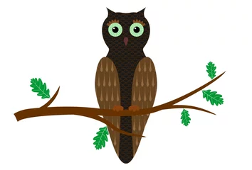Fotobehang Cartoon owl © Michał