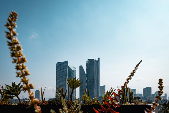 Low angle view of modern skyscrapers against sky in Mexico city during sunny day, Mexico
