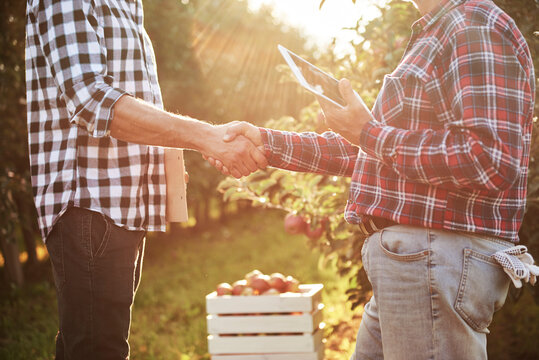Fruit growers agreeing on a deal, shaking hands