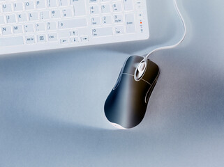 Computer mouse and keyboard, from above