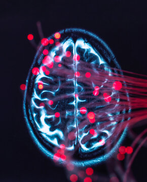 Neuroscience, Fibre optics carrying data around the brain