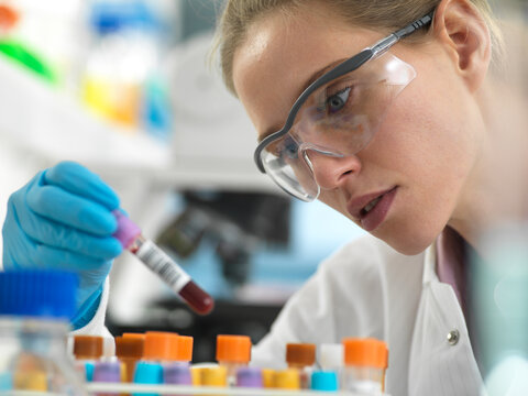 Health Screening, Scientist holding a tube containing a blood sample ready for analysis in the laboratory