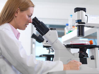 Cell biologist viewing a flask containing stem cells using a inverted microscope in the laboratory