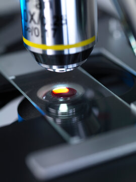 Human sample being anaylised under light microscope in lab