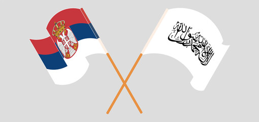 Crossed flags of Serbia and Taliban. Official colors. Correct proportion