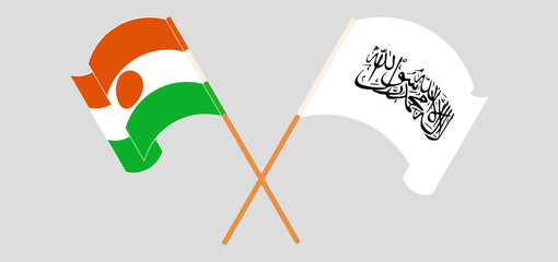 Crossed flags of Niger and Taliban. Official colors. Correct proportion