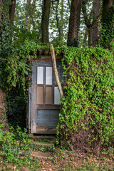 An overgrown garden shed with weathered wood