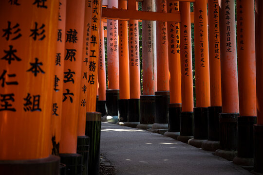 Japan, Kyoto Prefecture, Kyoto City, Torii path of Fushimi Inari-taisha temple