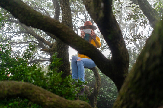 Woman sitting on a tree, taking pictures with her smartphone