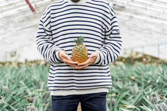 Close-up of man in greenhouse holding pineapple
