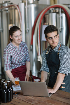 Young entrepreneurs working with laptop at a brewery