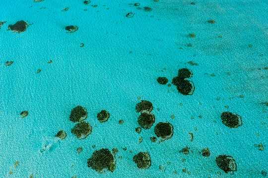 Maldives, South Male Atoll, Aerial view of coral reef