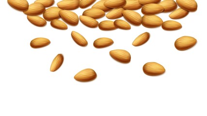 3d realistic vector background. Almond nuts. Isolated on white background.