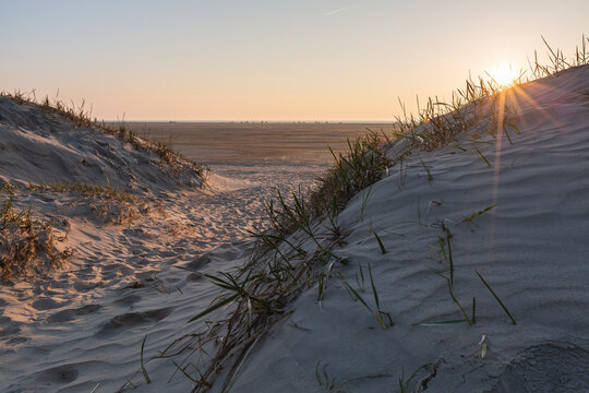 Denmark, Romo, Coastal sand dunes at sunset