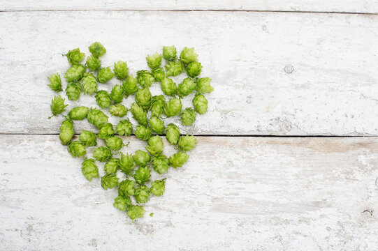 Hop cones building heart on white wood