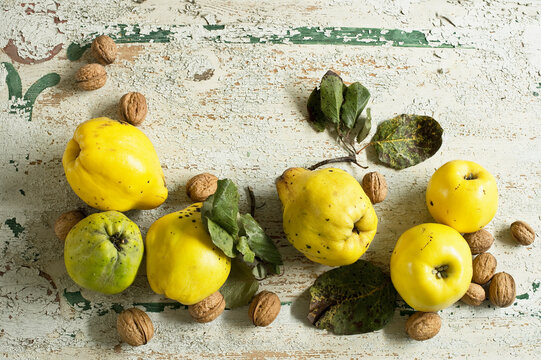 Quinces (Cydonia oblonga) with leaves and walnuts on rustic wooden surface
