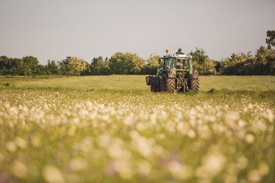 Fototapeta Germany, Brandenburg, Meadow with marguerite, tractor