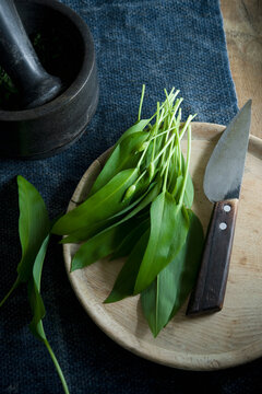 Ramson and knife on wooden board, mortar and bowl of pine nuts