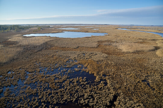 USA, Maryland, Cambridge, Blackwater National Wildlife Refuge, Blackwater River, Blackwater Refuge is experiencing sea level rise that is flooding this marsh