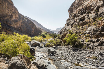 Oman, Ad Dakhiliyah, Nizwa, Dried riverbed in Wadi Ghul