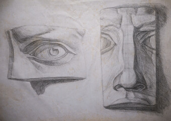 Pencil drawing of the eye and nose sculpture. Academic drawing at art school