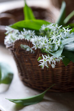 Blossoms of random in wickerbasket