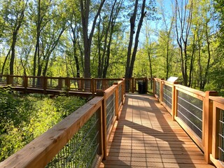 wooden bridge in the forest, boardwalk in a nature park overlooking a marshland