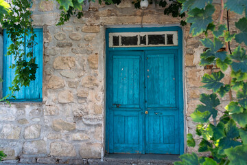 Fototapeta na wymiar Old blue wooden door in small cypriot village and grape plant