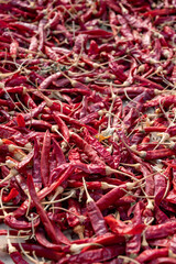 Fototapeta premium Food background with dried red hot chili peppers