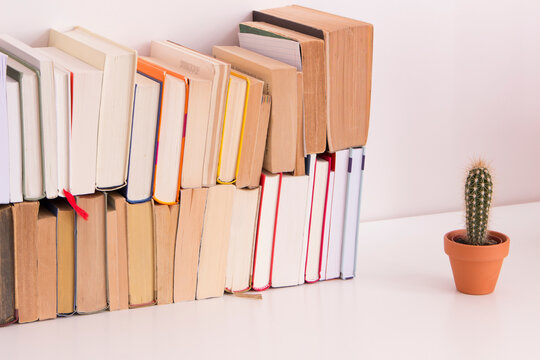 Stack of books and cactus on desk