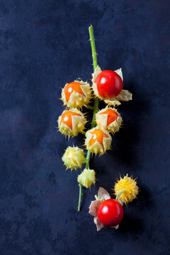 Sticky nightshade tomatoes on dark ground