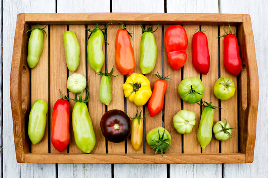Tray with various tomatoes, stage of ripeness, unripe