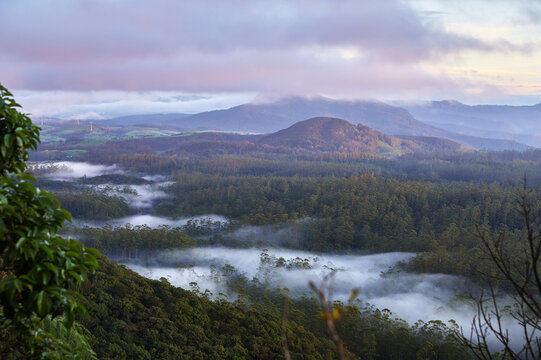 Sunrise at border of Horton Plains National Park, Nuwara Eliya, Sri Lanka