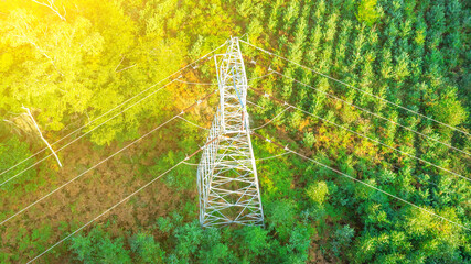 high-voltage electric tower among trees, power transmission towers