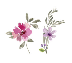 set of delicate watercolor purple and pink flowers, hand painted