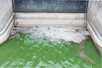 Dirty spots on the surface of the lake water, polluted by the discharge of industrial wastewater. Ecological problem.