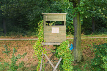 Wooden observation tower for hunting in the background of trees in summer